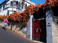 Madeira 2017 83 : Lennovo