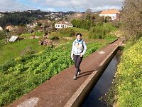 Madeira 2017 86 : Lennovo