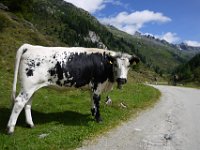 Jizni Tyrolsko sunbike 2017 5